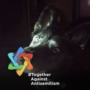 Meet your Posher, Gail